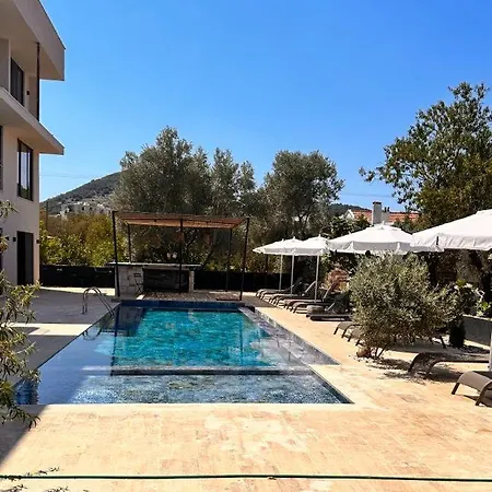 Lionyx Home&suites Aparthotel *